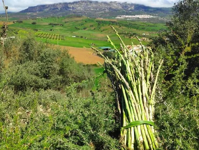 Сasa de vacaciones Alcaidejos Con Piscina Málaga